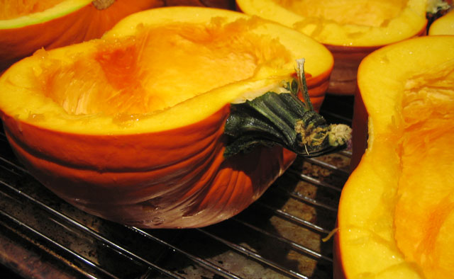pumpkin3