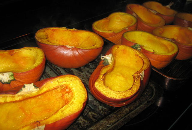 pumpkin5