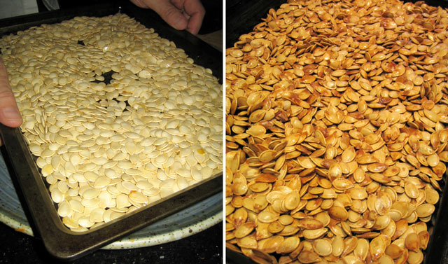 seeds3