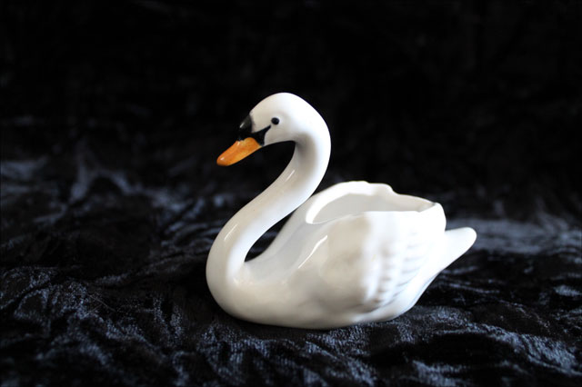 china-swan