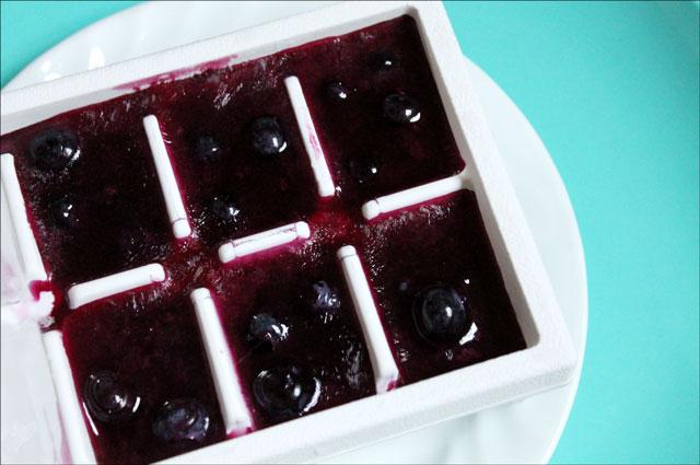 blueberry-and-juice-ice-cub