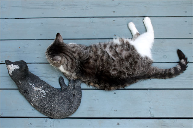 ed-with-cat-statue-06