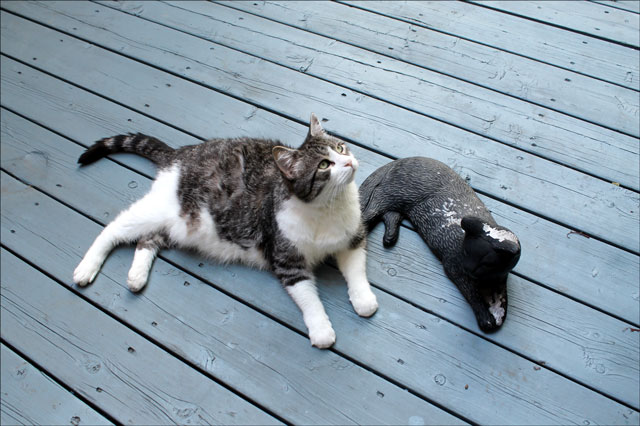 ed-with-cat-statue-11