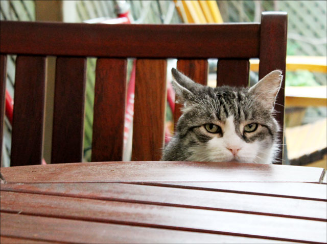 eddie-at-the-table