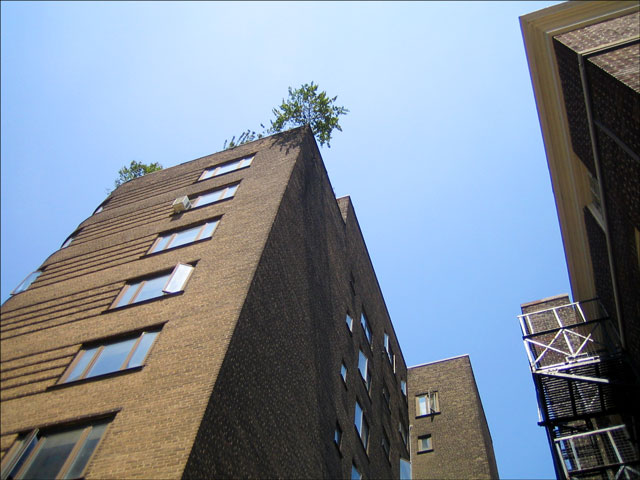 st-clair-w-art-deco-03