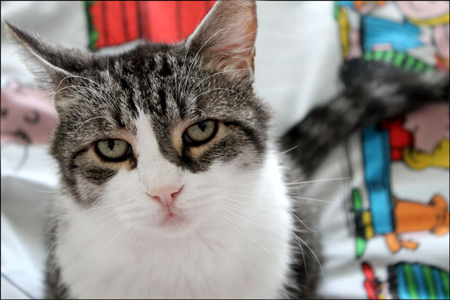 eddie-close-up