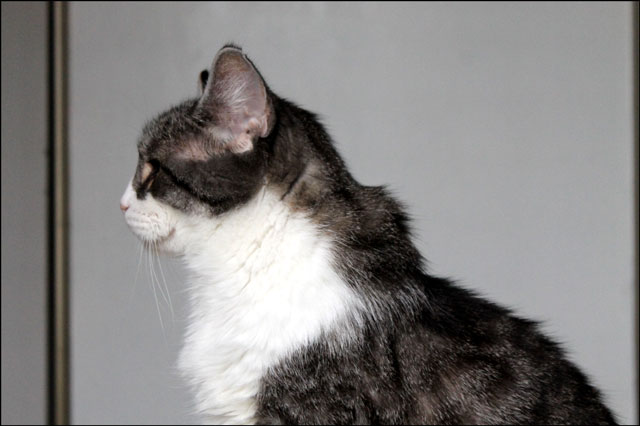 eddie-profile