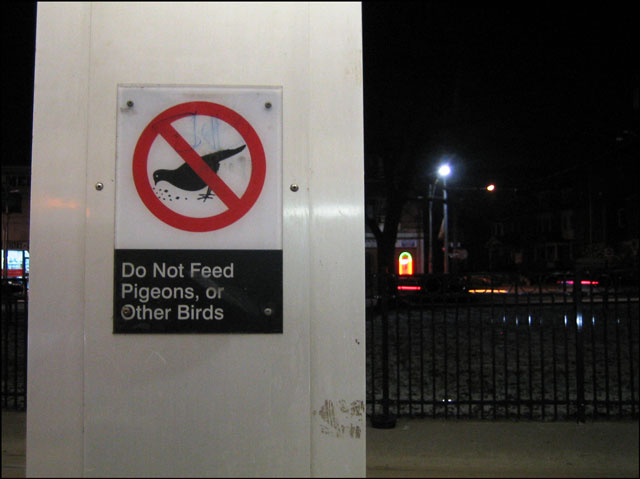 do-not-feed-pideons-and-oth