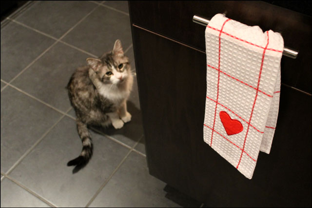 ed-in-the-kitchen