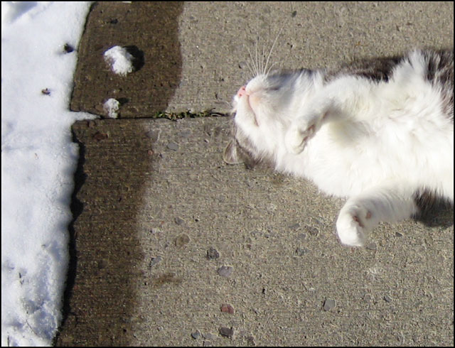 ed-on-his-back-outside