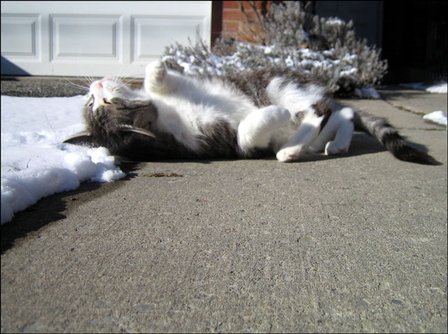 ed-out-in-snow