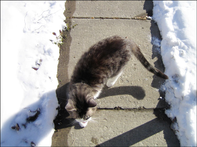 ed-outside-on-snowy-day
