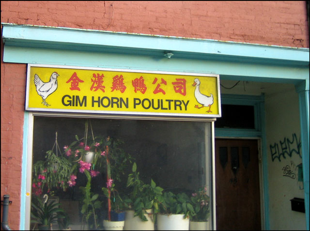 gim-horn-poultry