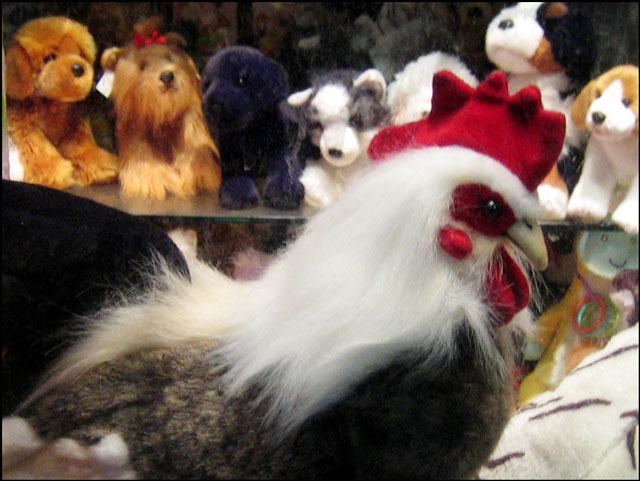 plush-chicken