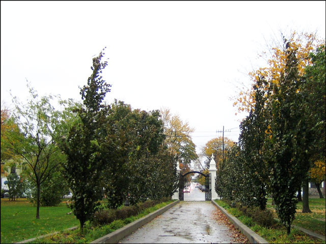 looking-south-towards-trinity bellwoods gate