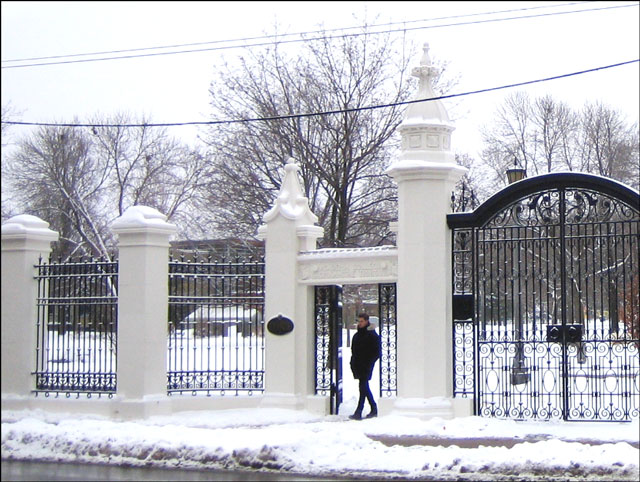 walking-through-trinity-bellwoods gate winter 2013