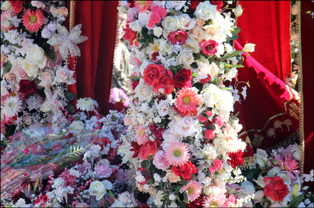 (I  How unexpected your to flower  in mean crowns adds colour the donât life!  that toronto