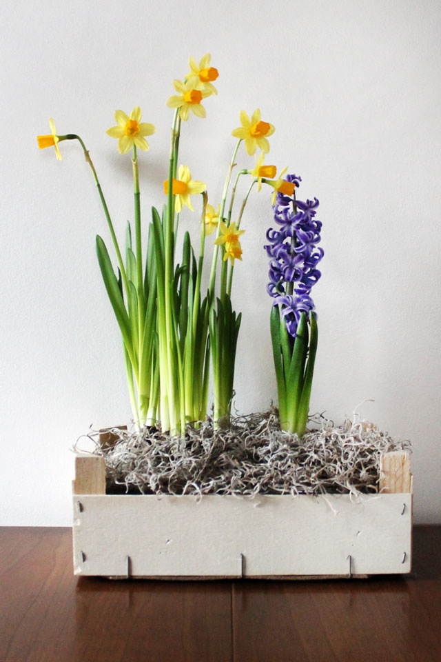 Making Something From Trash : An Orange Crate Becomes an Indoor Flower ...