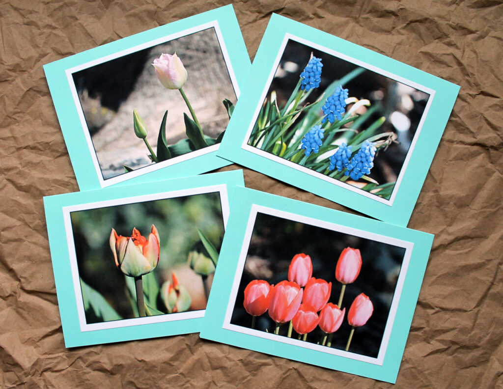 greeting cards made from your own photographs 1024x792
